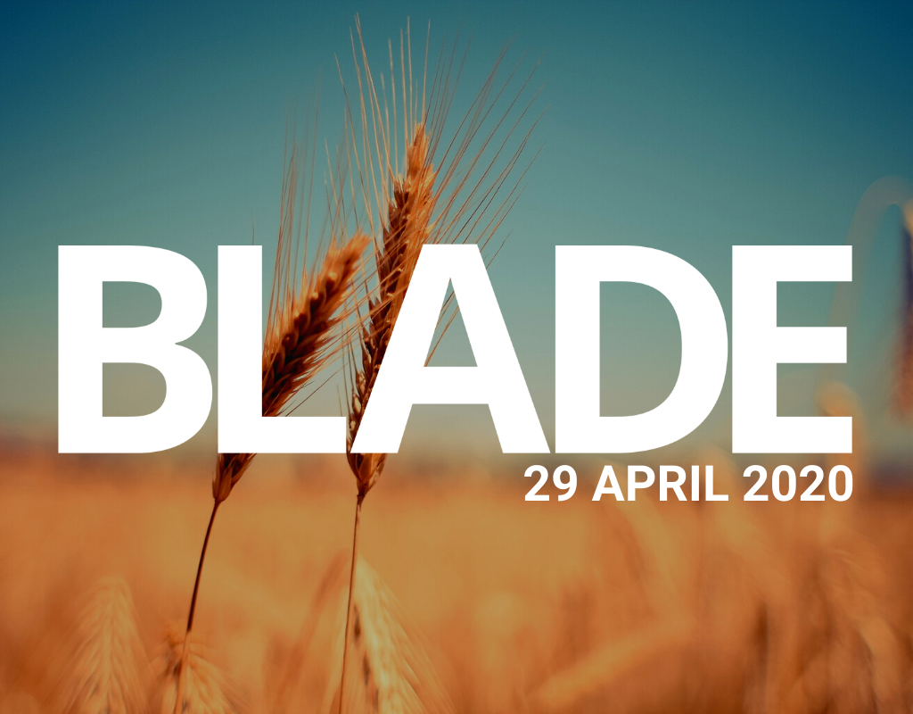 THE COST OF DISCIPLESHIP