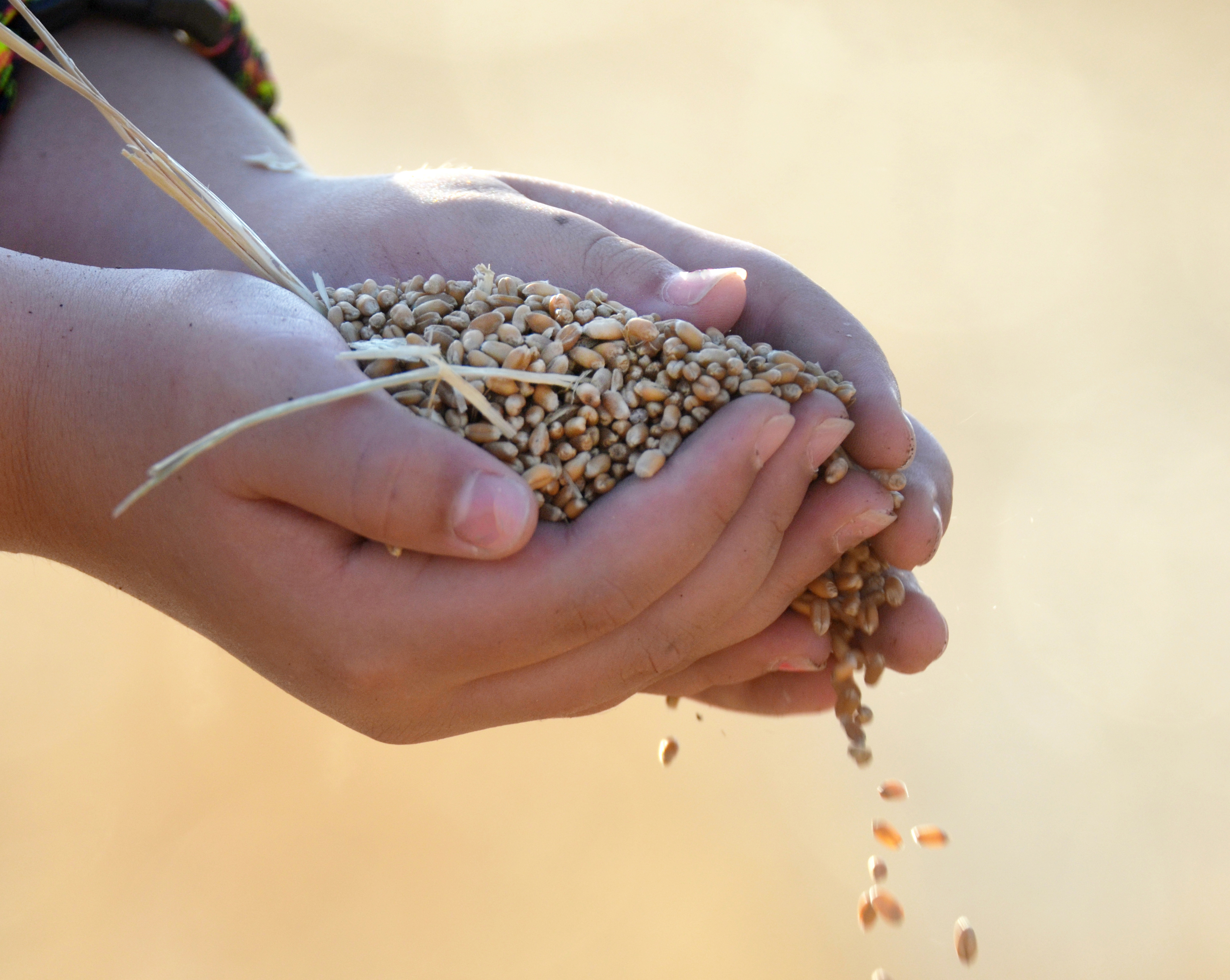 THE COMING COLLAPSE 3