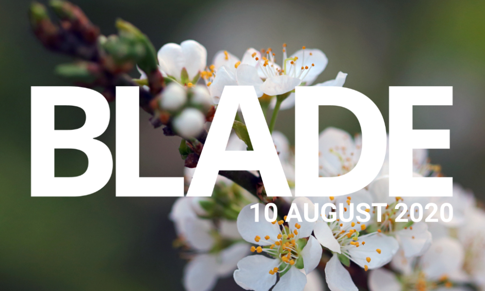 FIVE LOAVES AND TWO FISH