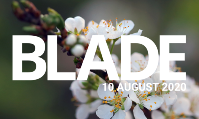 FIVE LOAVES AND TWO FISH