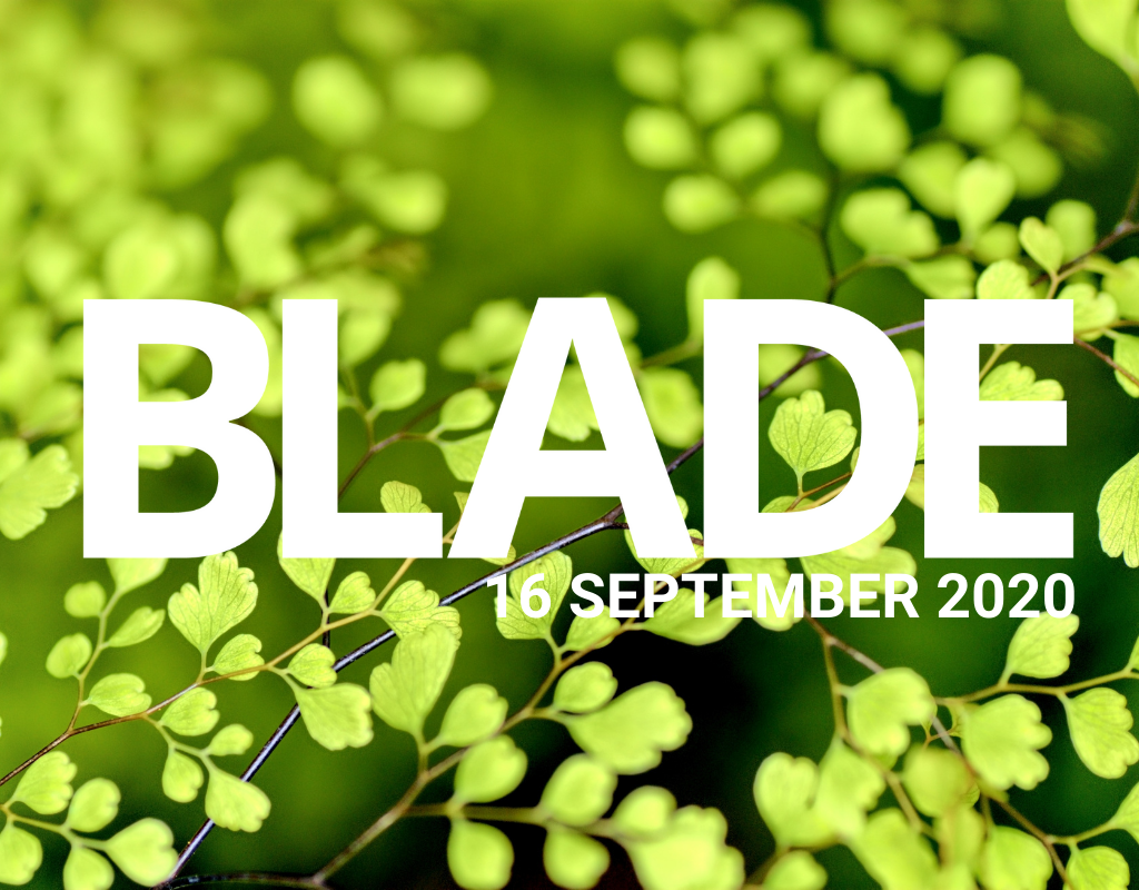 YOU’RE WHAT YOU DO