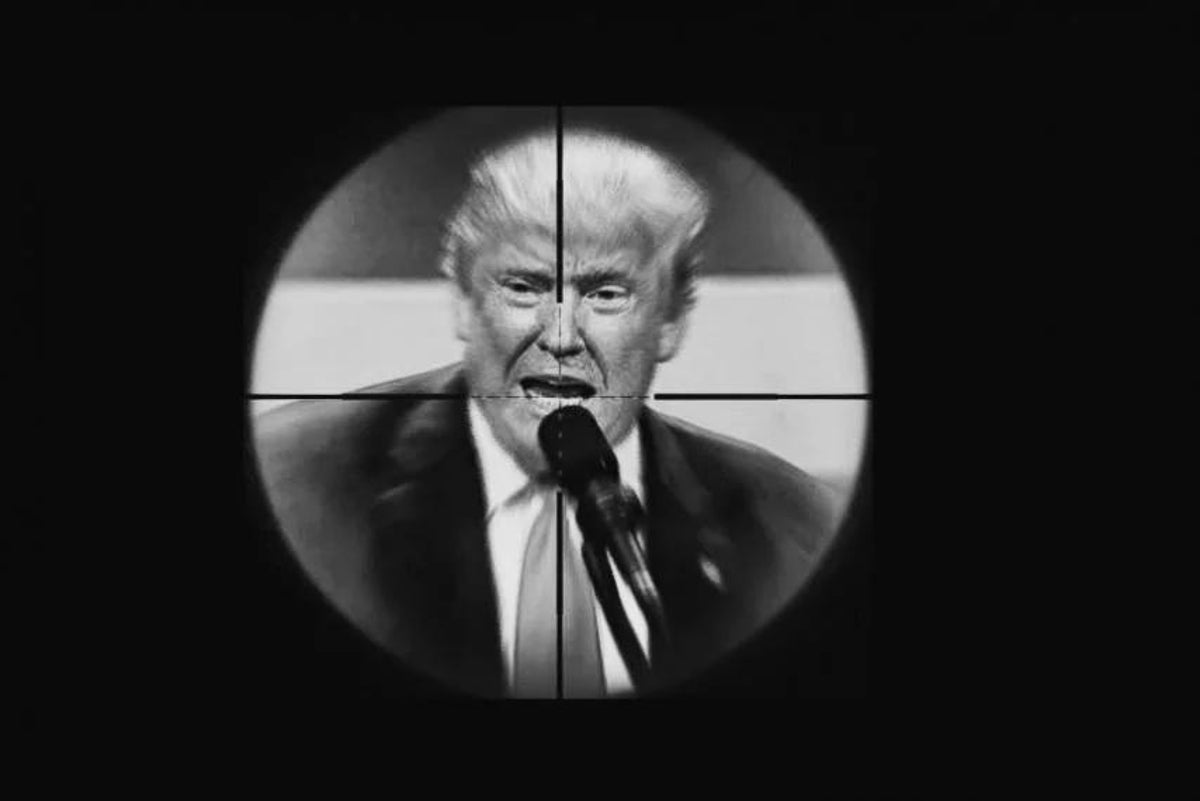 Donald Trump Assisination