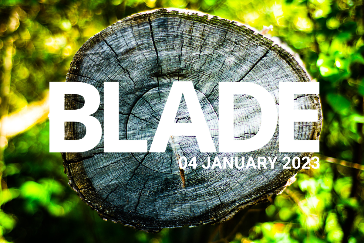 THOSE WHO PLEASE GOD WILL WALK IN VICTORY IN 2023