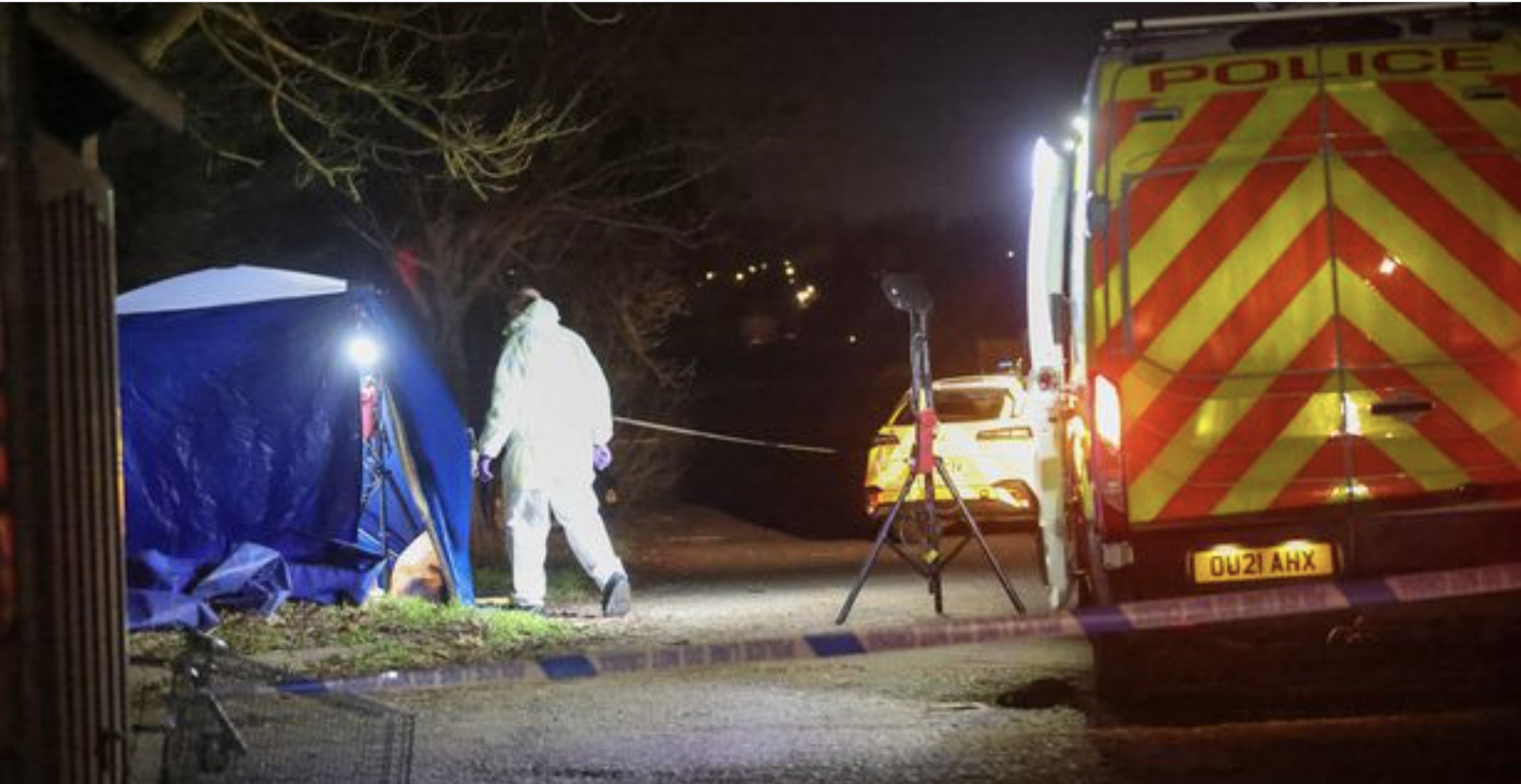 4 Year Old Killed by Dog